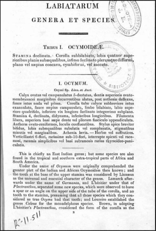 Bentham Labiatarum genera et species