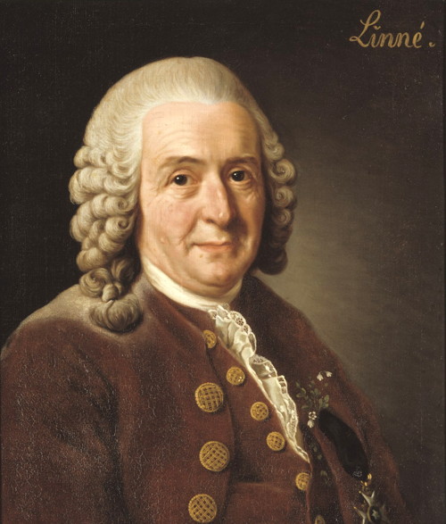 Carl Linnaeus