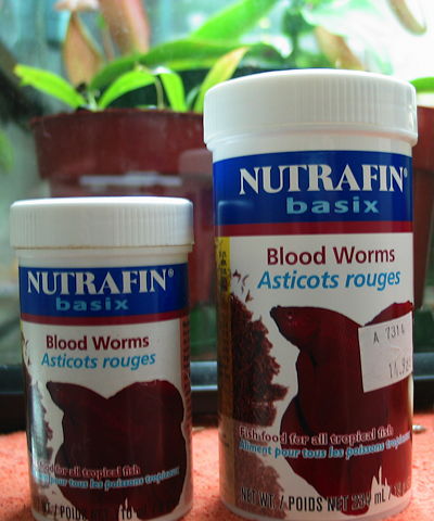 Dried Blood Worms