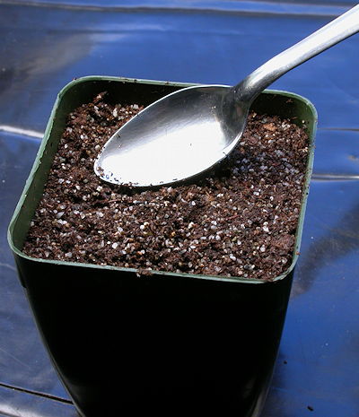Soil in pot