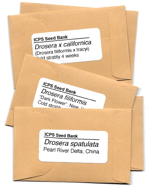 Seed Packets