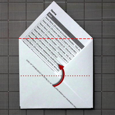 step 7