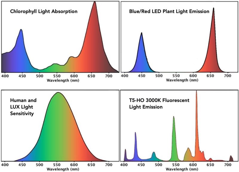 håndbevægelse Kilauea Mountain Skulptur LED Plant Lighting | ICPS