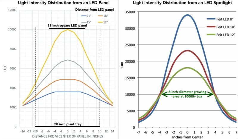 Light Dispersion