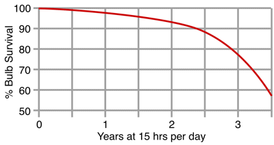 Bulb Mortality