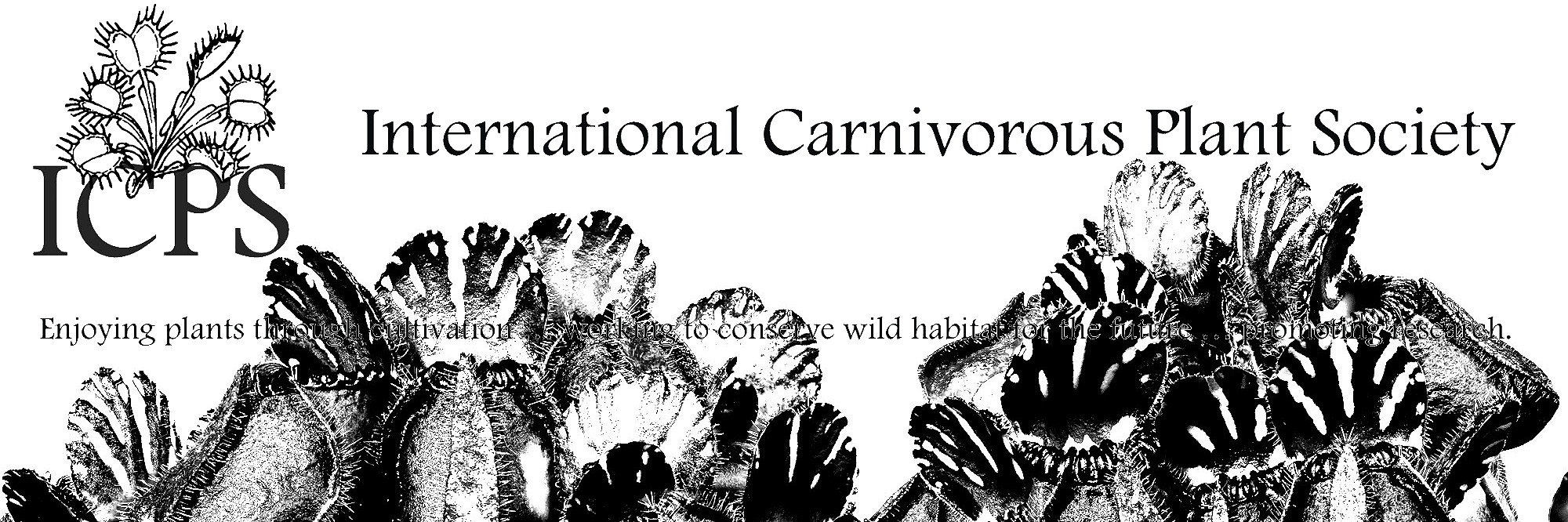 International Carnivorous Plant Society